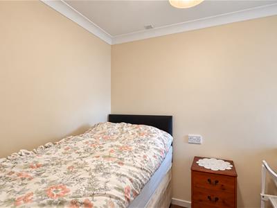 Picture 8